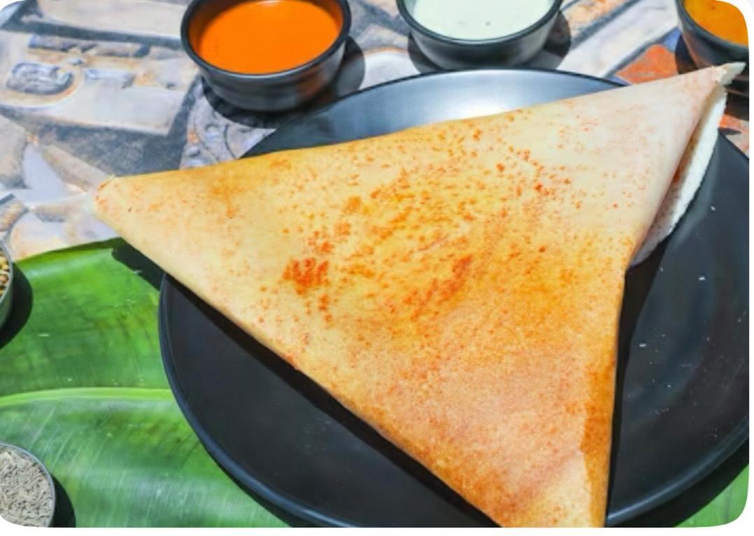 Hotel Dosa Plaza Удайпур Екстериор снимка